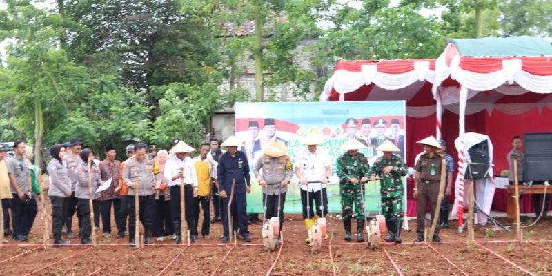 Mendukung Program Ketahanan Pangan Nasional, Kapolres Bangkalan Tanam Jagung Bersama Forkopimda