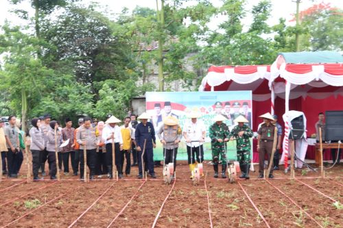 Mendukung Program Ketahanan Pangan Nasional, Kapolres Bangkalan Tanam Jagung Bersama Forkopimda