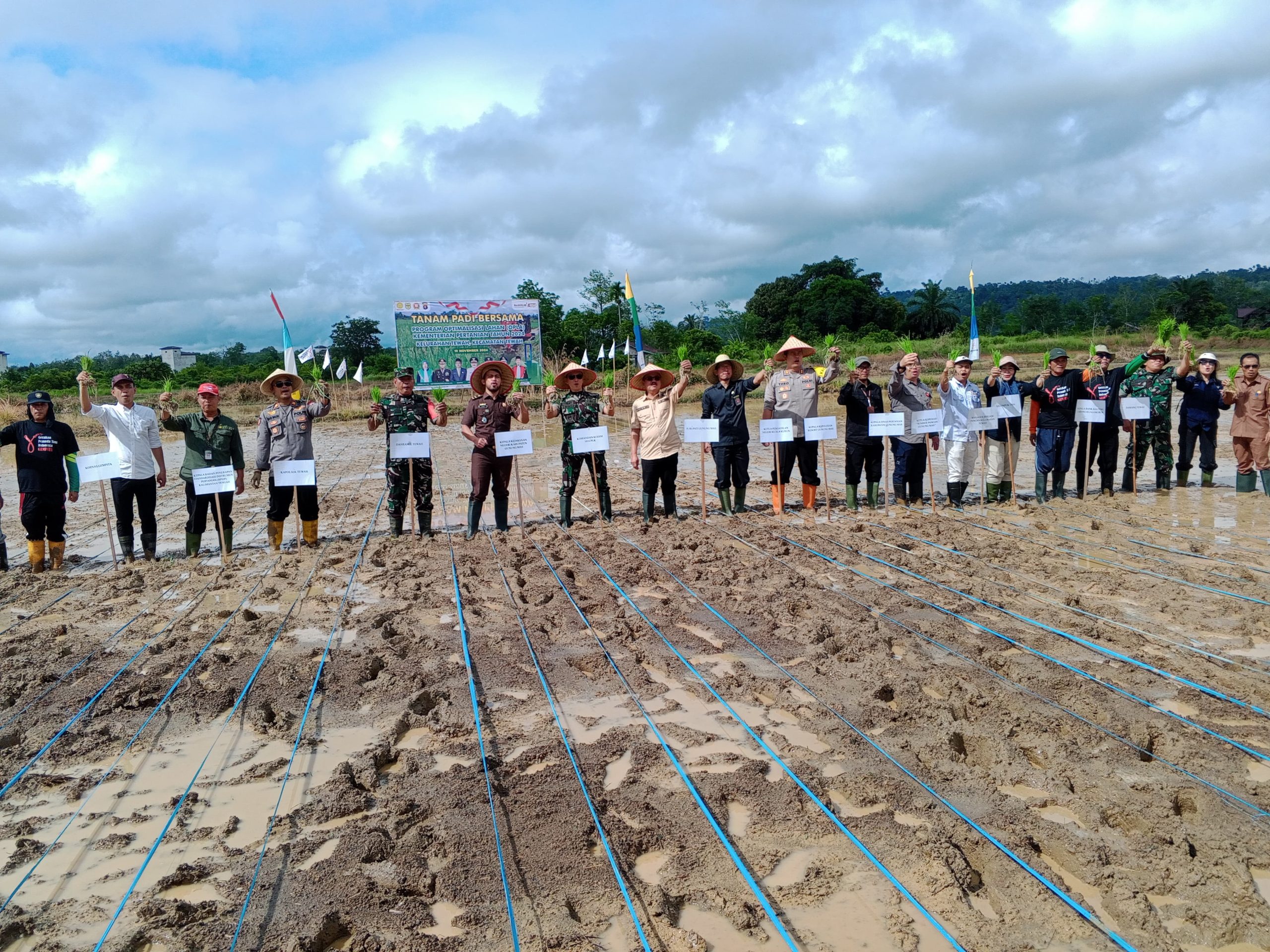 Dandim 1016/Palangka Ikuti Tanam Bersama Program Optimalisasi lahan (OPLA)