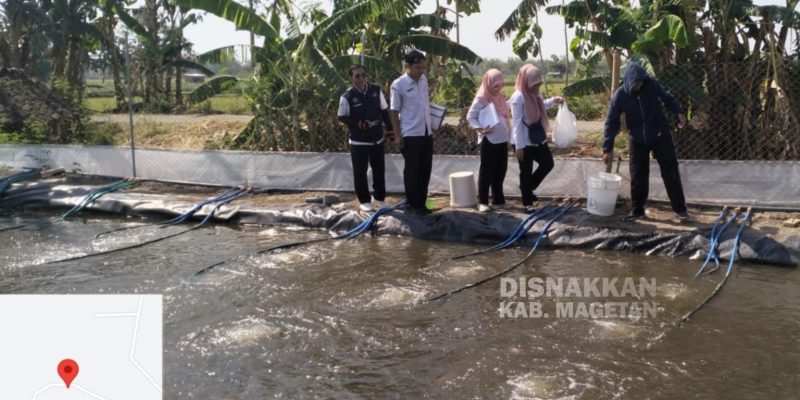 Penyuluh Perikanan Pantau Hama Penyakit Ikan Di Wilayah Magetan, Bersama DKP Jawa Timur
