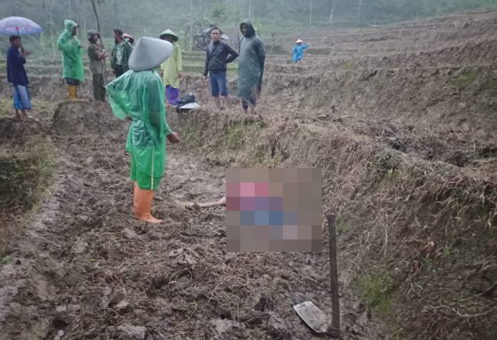 Diduga Akibat Kelelahan, Warga di Kandangserang Pekalongan Ditemukan Meninggal di Sawah