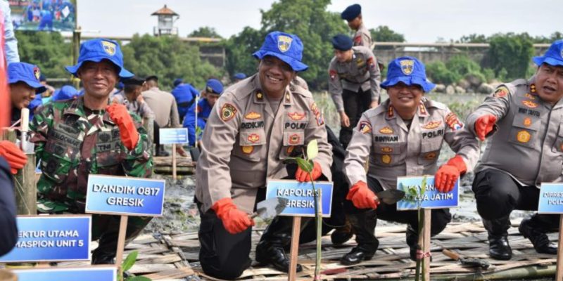 Ditpolairud Polda Jatim Tanam Belasan Ribu Bibit Mangrove di Gresik