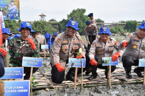 Ditpolairud Polda Jatim Tanam Belasan Ribu Bibit Mangrove di Gresik