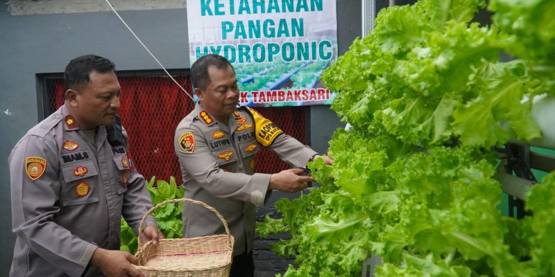 Bisa Panen Sayur Hidroponik di Polsek Tambaksari