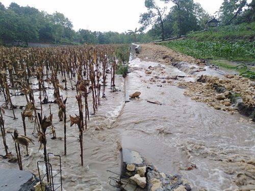 Akibat Hujan Deras Proyek TPT Jebol Desa Yungyang, Akan Diperbaiki Saat Musim Kemarau