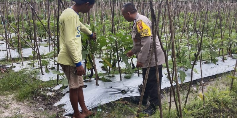 Sambangi Lahan Perkebunan, Bhabinkamtibmas Polresta Palangka Raya Beri Dukungan Swasembada Pangan