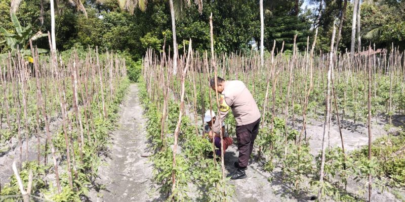 Jaga Ketahanan Pangan, Bhabinkamtibmas Polsek Bukit Batu Beri Dukungan Moral bagi Para Petani