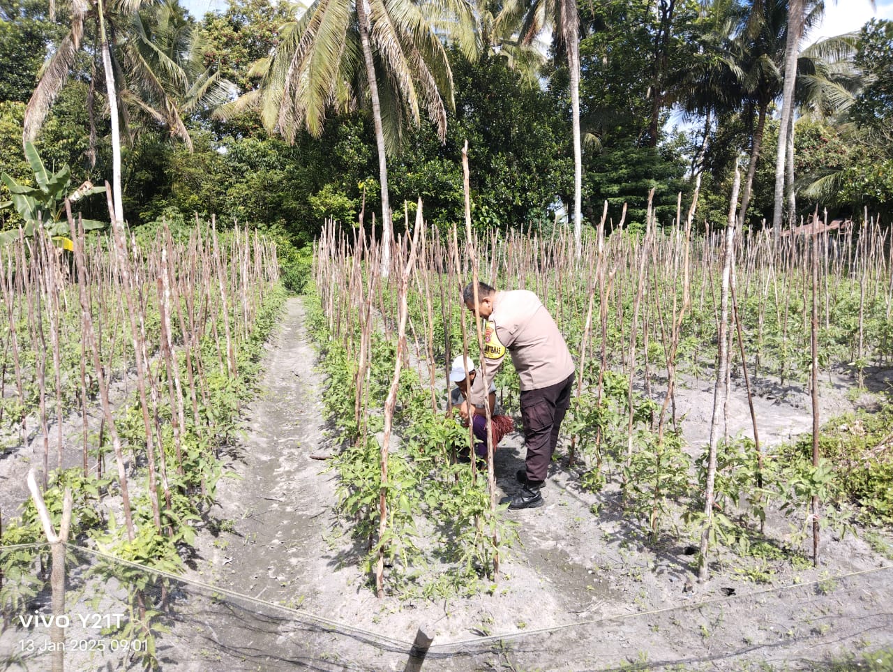 Jaga Ketahanan Pangan, Bhabinkamtibmas Polsek Bukit Batu Beri Dukungan Moral bagi Para Petani
