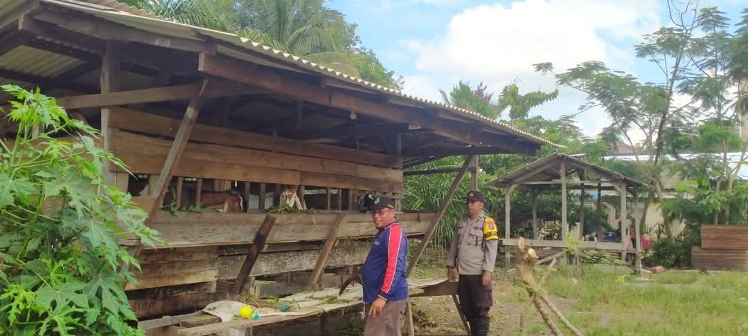 GIAT PENGECEKAN LOKASI PEMANFAATAN LAHAN PEKARANGAN DI WILAYAH POLSEK MANTANGAI