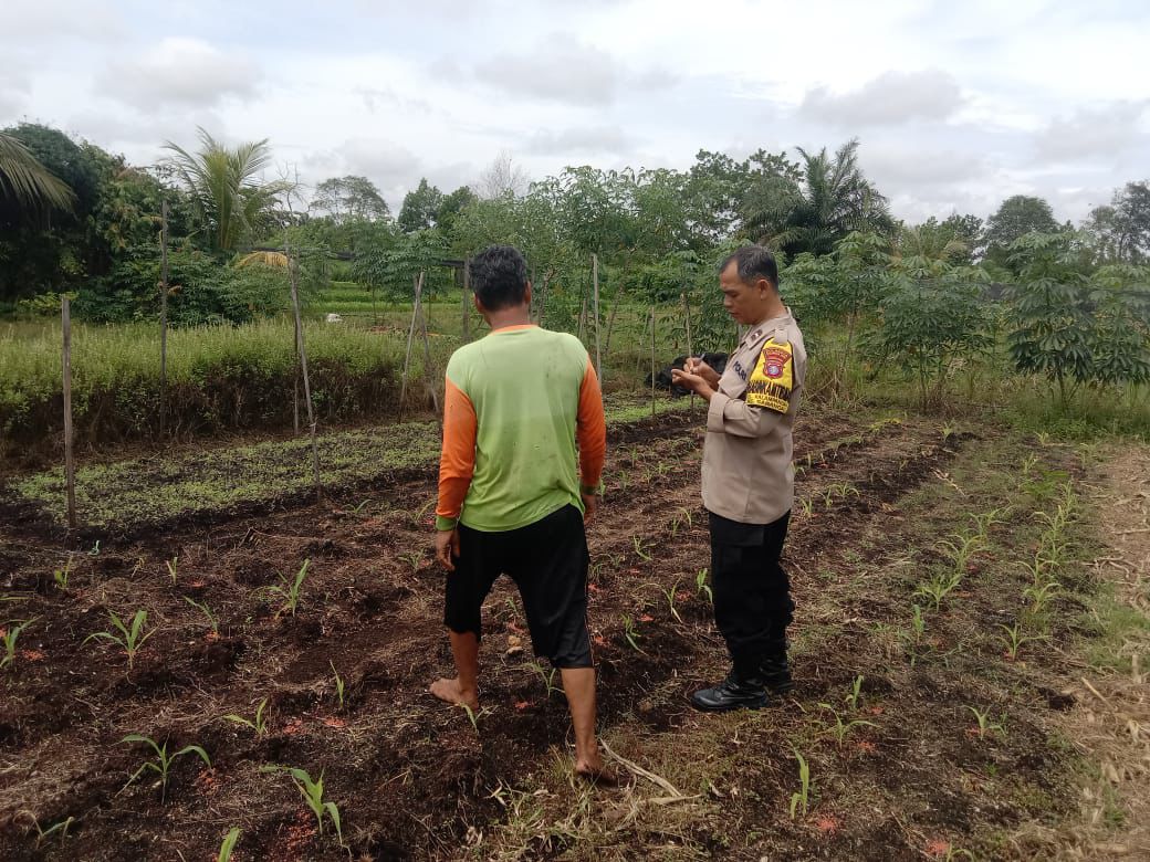 Polsek Sabangau Sosialisasikan Program Asta Cita Bidang Ketahanan Pangan di Kalampangan