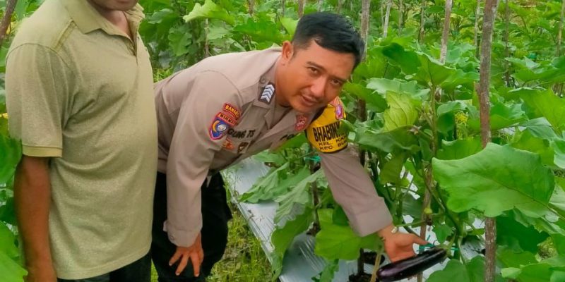 Di Kebun Terong Warga, Polsek Bukit Batu Sampaikan Program Asta Cita