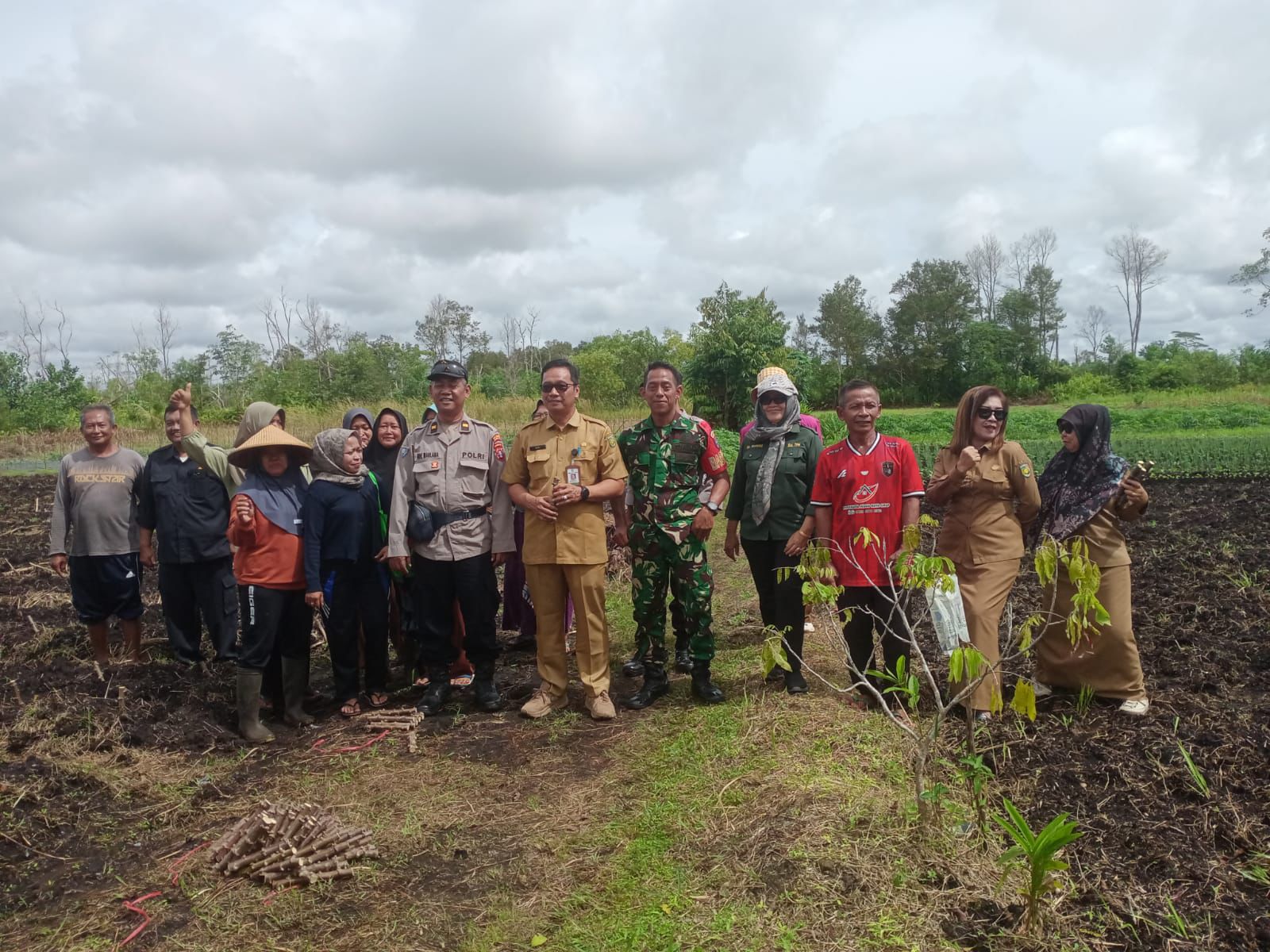 Kapolsek Sabangau Ikut Penanaman Singkong Kristal Bersama Kelompok Tani Abadi Jaya Makmur