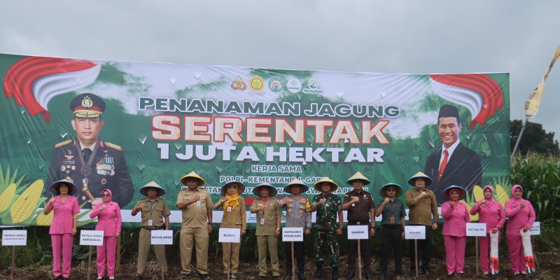 Dukung Pencapaian Swasembada Pangan Nasional, Polres dan Dinas Pertanian Tanam Jagung 2 Hektar di Pemalang