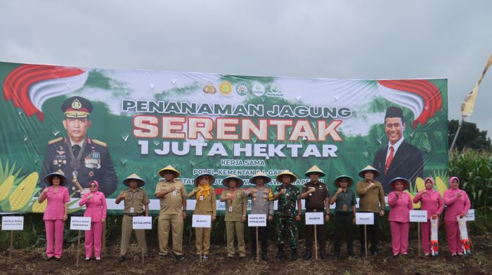 Dukung Pencapaian Swasembada Pangan Nasional, Polres dan Dinas Pertanian Tanam Jagung 2 Hektar di Pemalang