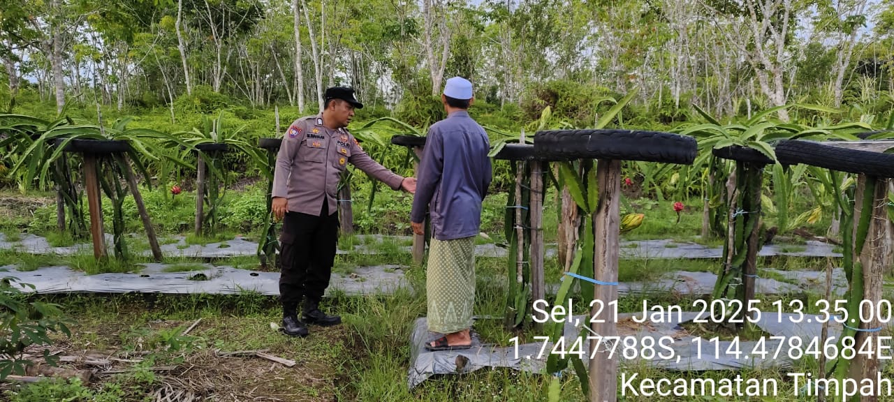 Polsek Timpah Melaksanakan Pengecekan Pemanfaatan Lahan Pekarangan Warga Desa Timpah