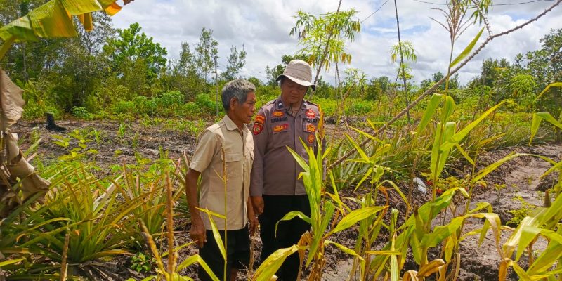 Bantu Sukseskan Ketahanan Pangan, Polsek Rakumpit Beri Dukungan bagi Para Petani