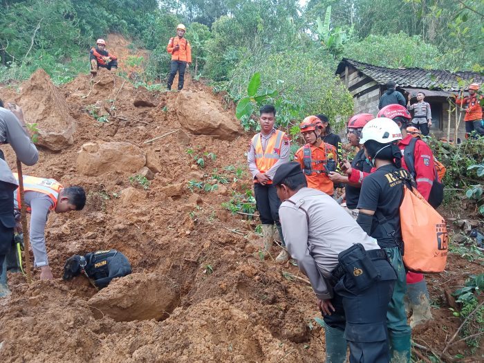 Polda Jateng Terjunkan Unit K9 Cari Korban Longsor di Pekalongan, Temukan 21 Jenazah Diantaranya Seorang Bayi