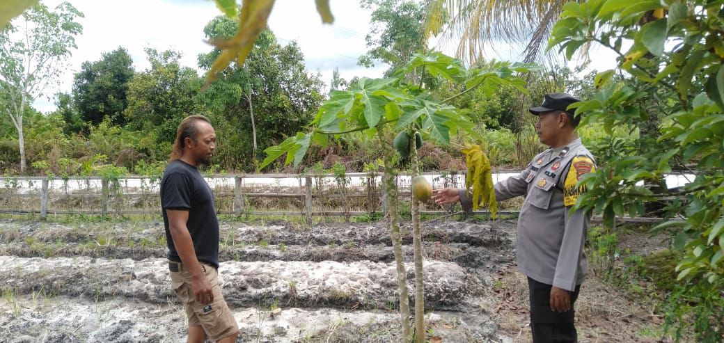 Polsek Rakumpit Rangkul Warga Petuk Barunai untuk Sukseskan Program Ketahanan Pangan