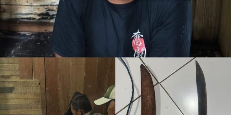 Polres Katingan Bekuk Pelaku Pembunuhan Sadis, Korban Ditusuk dan ditebas Belasan Kali