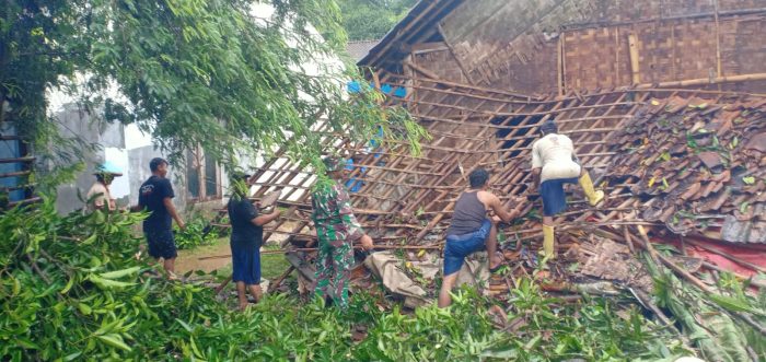 Babinsa Bersihkan Material Rumah Ambruk Akibat Tertimpa Pohon Tumbang