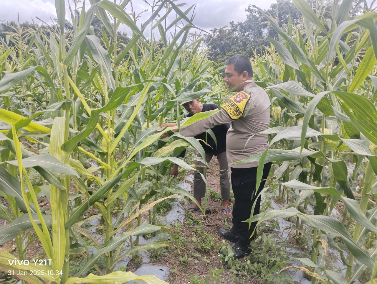 Dukung dan Sukseskan Ketahanan Pangan, Polsek Bukit Batu Beri Dukungan kepada Petani
