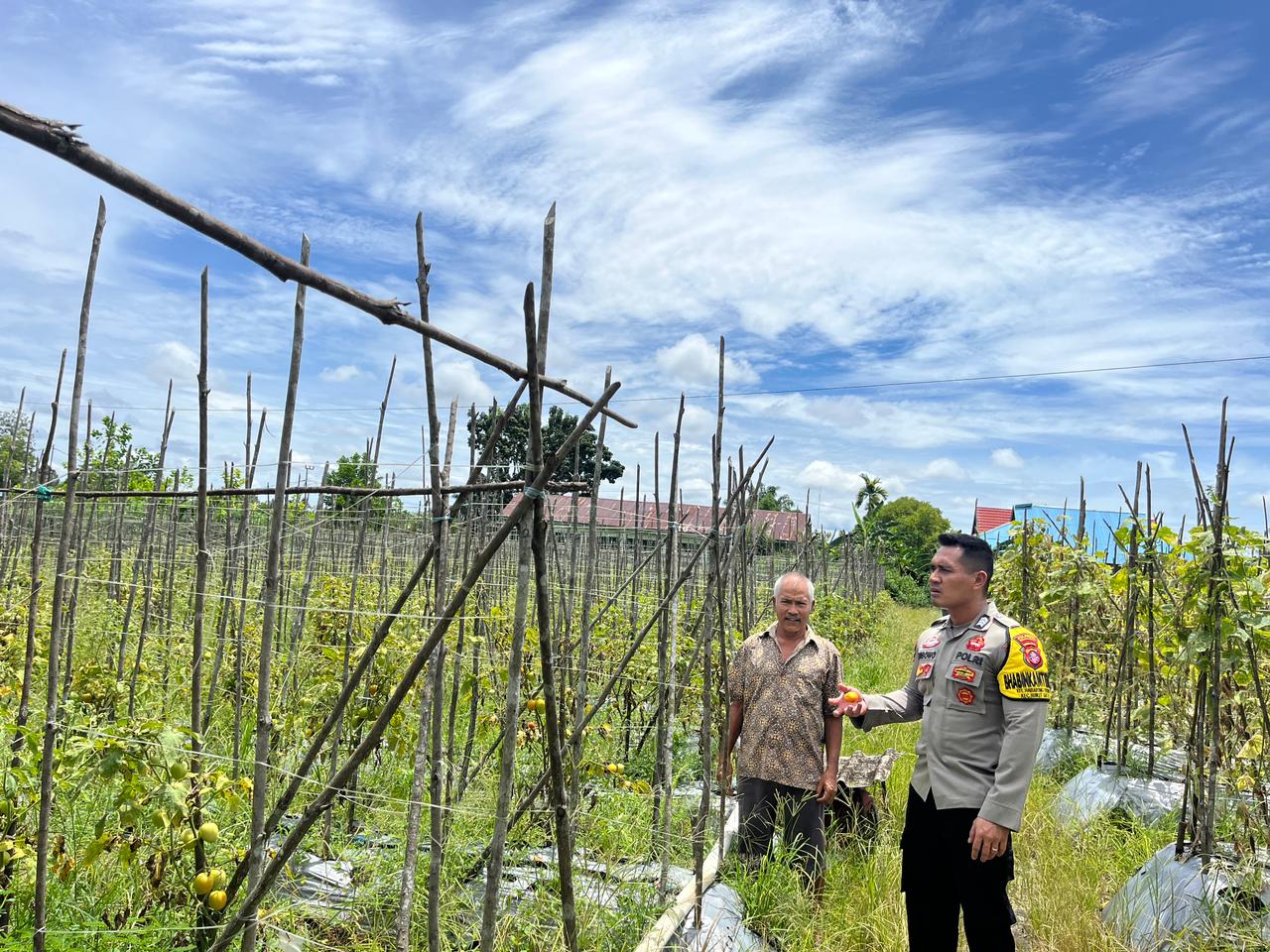 Dukung Ketahanan Pangan, Bhabinkamtibmas Polsek Bukit Batu Pererat Kemitraan bersama Petani