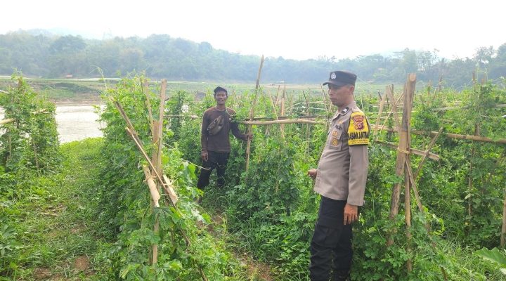 Komitmen Polri Dukung Progam Ketahanan Pangan Di Purwakarta, AKP Ali Murtadho Kapolsek Plered Memberikan Pemahaman terhadap Para Petani