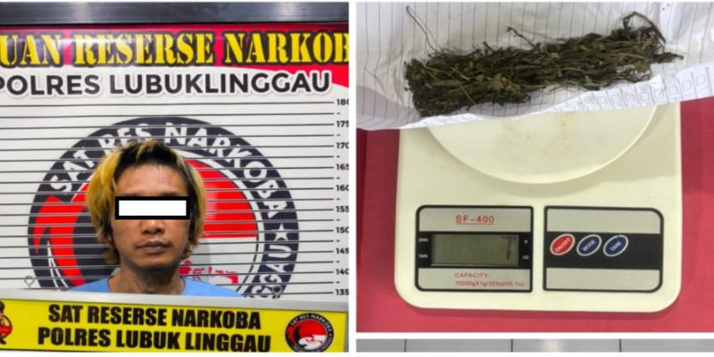 SatRes Narkoba Polres Lubuklinggau Mengamankan Pemuda Asal Jambi Gegara Kepemilikan Narkotika Jenis Ganja
