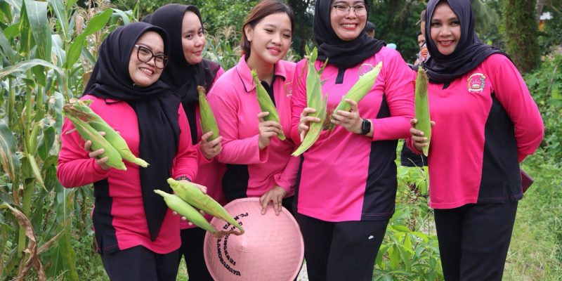 Kapolresta Palangka Raya Panen 5 Kwintal Jagung