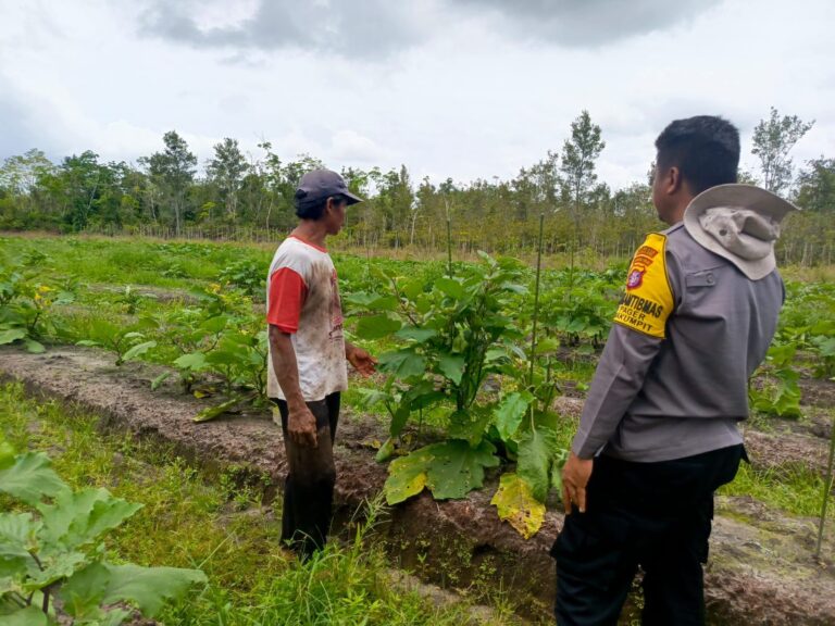 Polsek Sabangau Rangkul Petani Bayam untuk Dukung Ketahanan Pangan