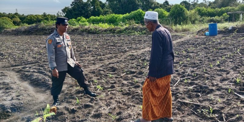 Dukung Swasembada Pangan, Polsek Bukit Batu Sambangi Lahan Perkebunan Warga Tumbang Tahai