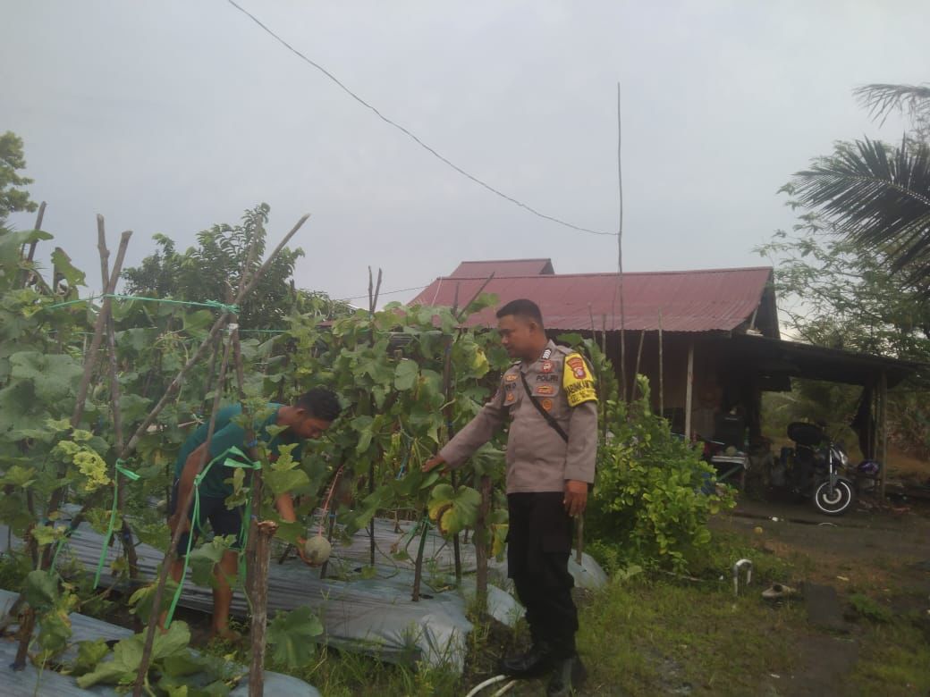 Dukung Ketahanan Pangan Warga, Anggota Polsek Bukit Batu Lakukan Pendampingan