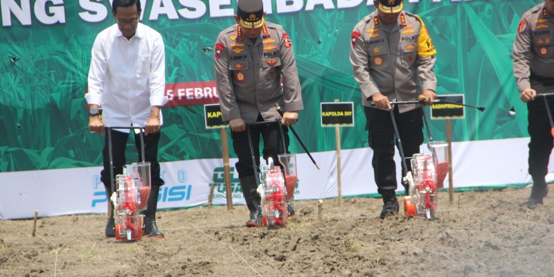 Kapolri dan Gubernur Yogyakarta Sri Sultan Hamengku Buwono X Menanam Jagung Bersama