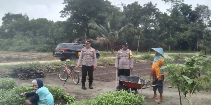Datangi Petani Sayur Mayur, Polsek Bukit Batu Sampaikan Program Ketahanan Pangan di Tumbang Tahai