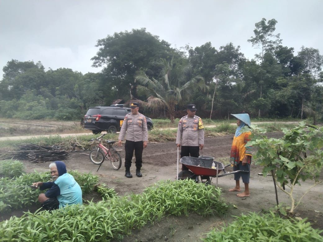 Datangi Petani Sayur Mayur, Polsek Bukit Batu Sampaikan Program Ketahanan Pangan di Tumbang Tahai