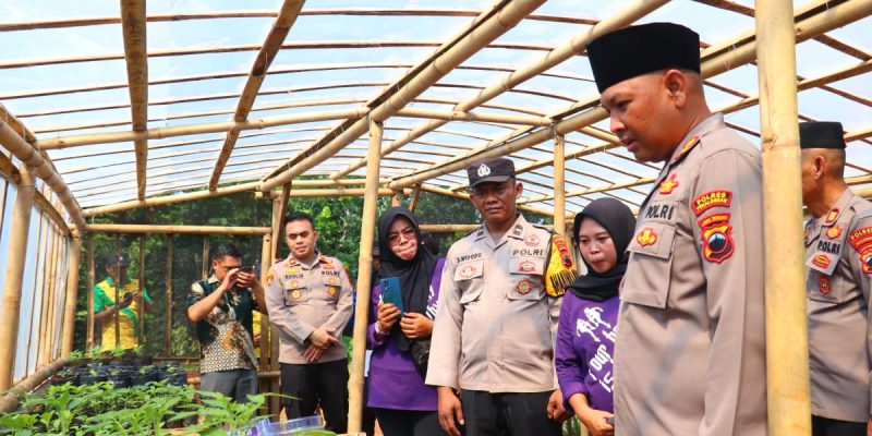 Kapolres Pekalongan Kunjungi Kebun Tanaman Bergizi di Desa Bukur, Dukung Asta Cita di Bidang Ketahanan Pangan