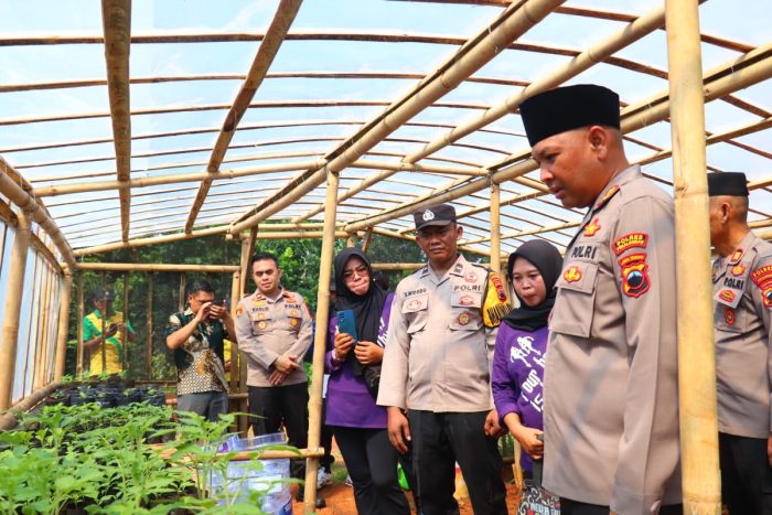 Kapolres Pekalongan Kunjungi Kebun Tanaman Bergizi di Desa Bukur, Dukung Asta Cita di Bidang Ketahanan Pangan