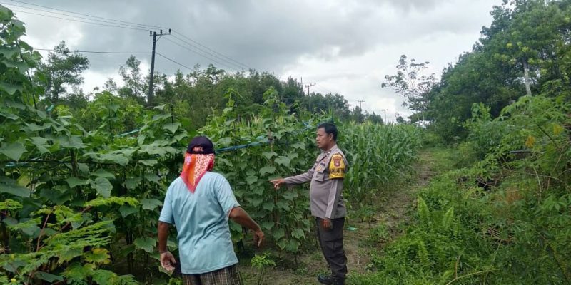 Polsek Rakumpit Apresiasi Petani Petuk Barunai dalam Mendukung Program Asta Cita