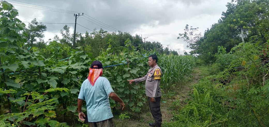 Polsek Rakumpit Apresiasi Petani Petuk Barunai dalam Mendukung Program Asta Cita