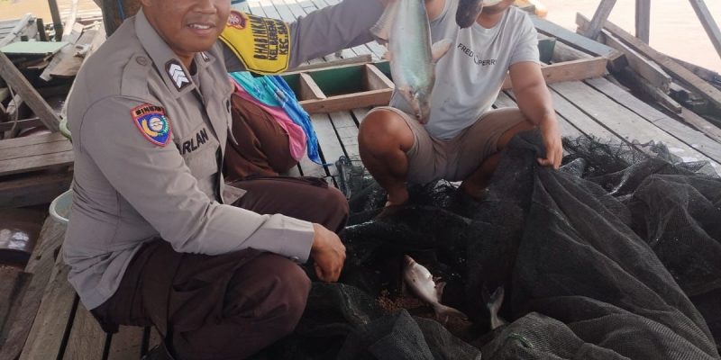 Dukung Ketahanan Pangan, Polsek Sabangau Sambangi Keramba Ikan di Bereng Bengkel