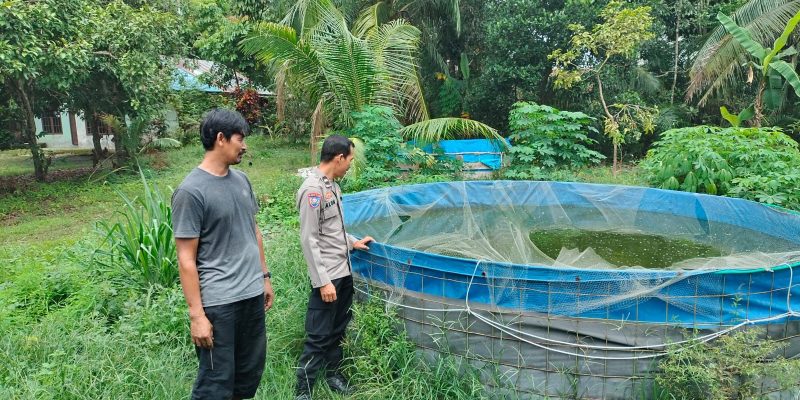 Polsek Bukit Batu Kunjungi Budidaya Ikan Lele dan Sosialisasikan Program Asta Cita