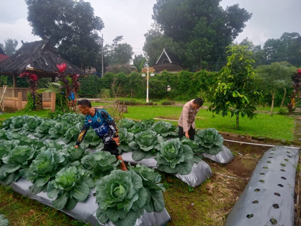 Wujudkan Program Asta Cita Presiden, Polres Purwakarta Dukung Ketahanan Pangan Nasional