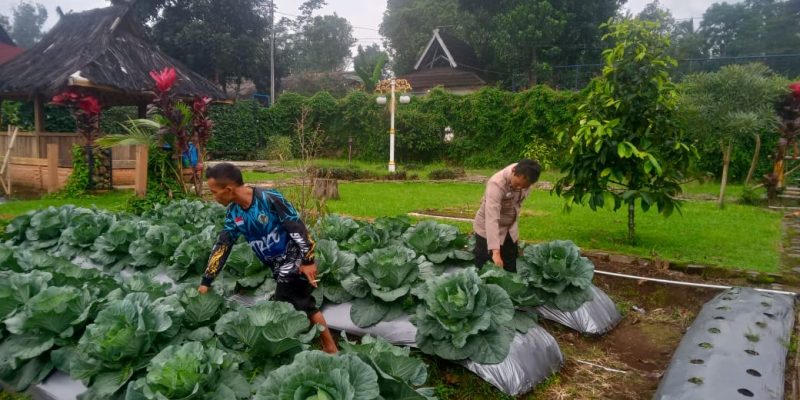 Wujudkan Program Asta Cita Presiden, Polres Purwakarta Dukung Ketahanan Pangan Nasional