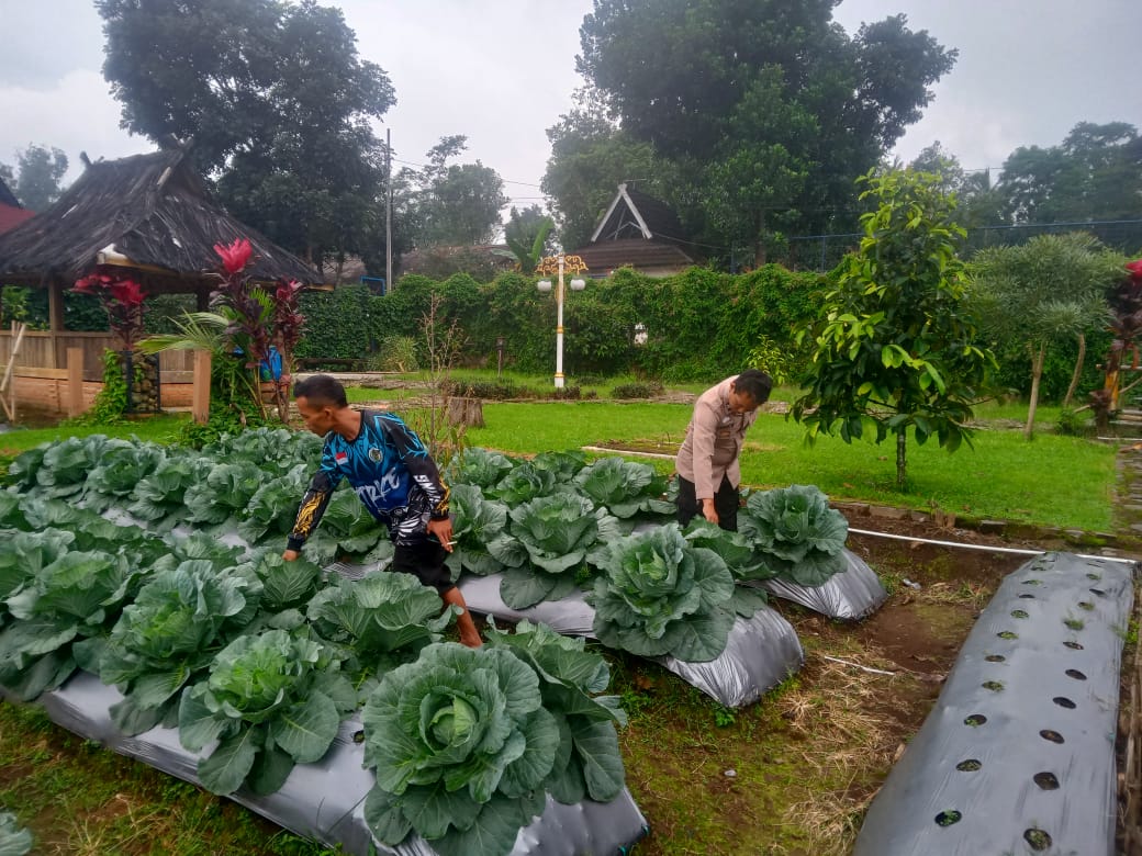 Wujudkan Program Asta Cita Presiden, Polres Purwakarta Dukung Ketahanan Pangan Nasional