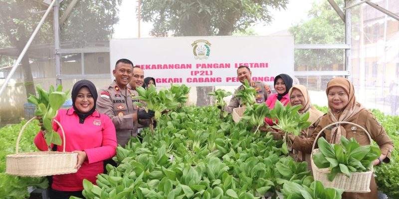 Launching Penguatan Program Pekarangan Pangan Lestari, Polres Pekalongan Tanam Sayur dan Budidaya Ikan