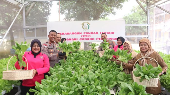 Launching Penguatan Program Pekarangan Pangan Lestari, Polres Pekalongan Tanam Sayur dan Budidaya Ikan