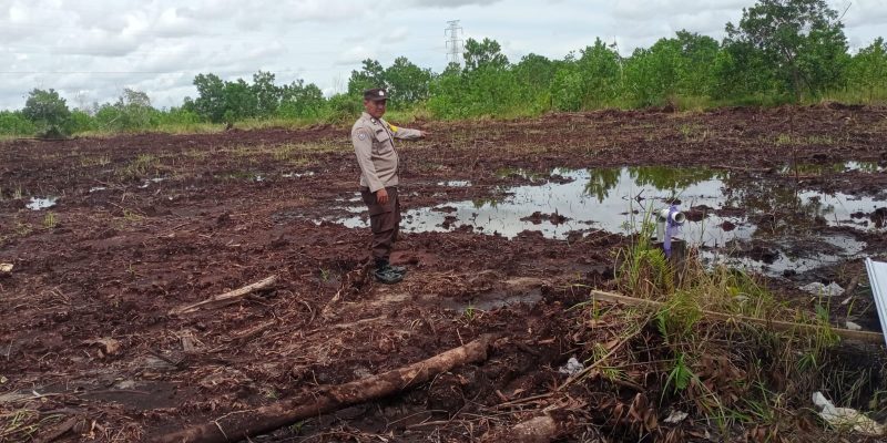 Polsek Sabangau Pantau Pertumbuhan Jagung di Area PT. Galmindo Gemilang Kencana