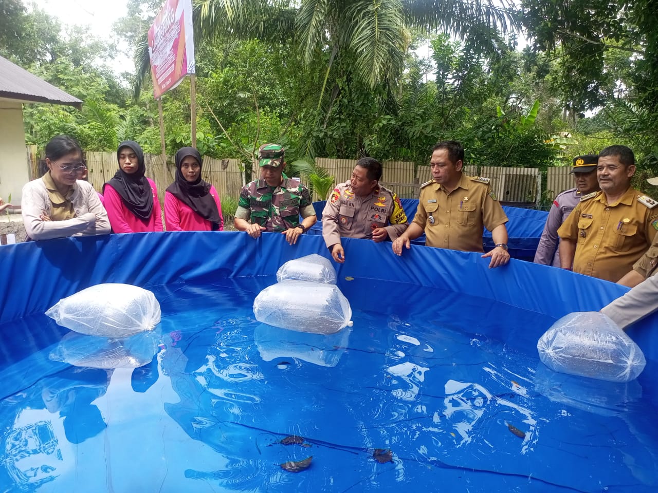 Dukung Program P2L, Polsek Bukit Batu dan Bhayangkari Kelola Rumah Hidroponik hingga Kolam Lele