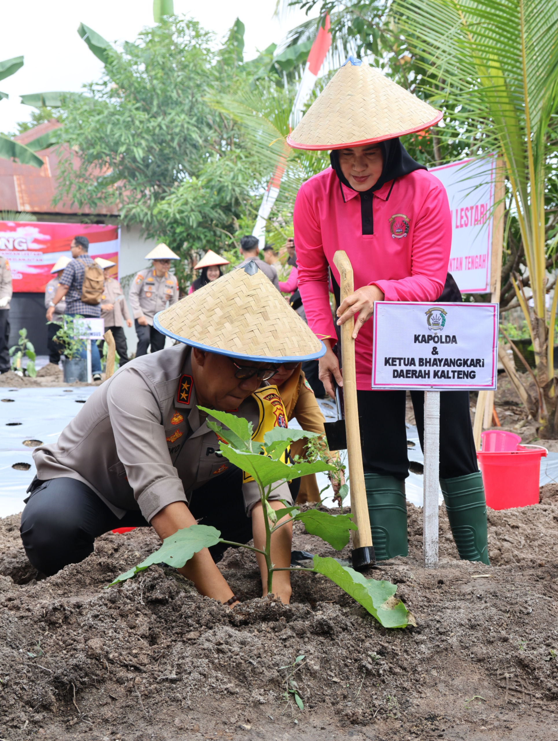 Inisiasi Pekarangan Pangan Lestari, Polda Kalteng Bersama Bhayangkari Tebar 5000 Benih Ikan dan 1000 Bibit Tanaman Dukung Ketahanan Pangan dan MBG