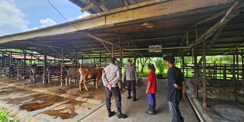Kanitbinmas Polsek Bukit Batu Sambangi Peternakan Sapi Warga